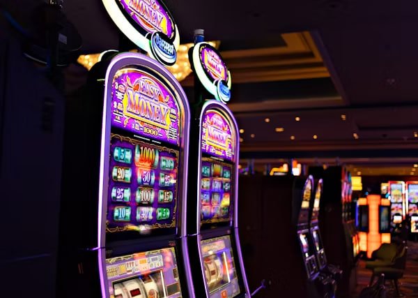 x23 casino
